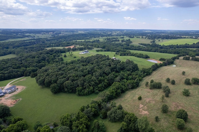 1074 Gideon Cave Rd, Marionville, MO 65705 - photo 46