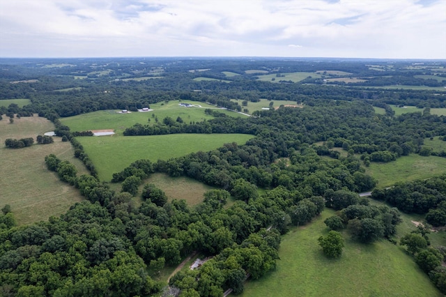 1074 Gideon Cave Rd, Marionville, MO 65705 - photo 48