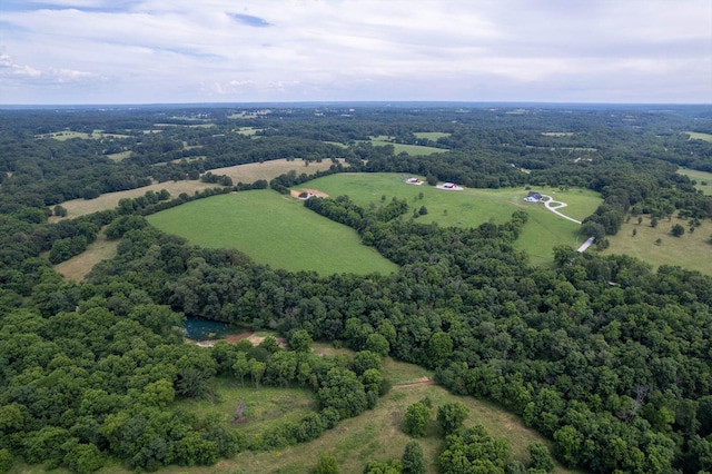 1074 Gideon Cave Rd, Marionville, MO 65705 - photo 51