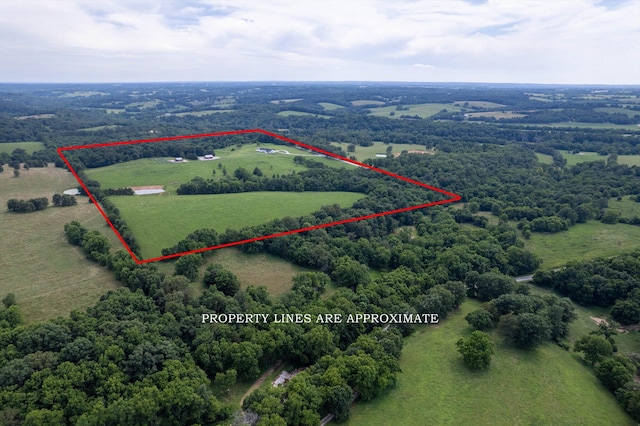 1074 Gideon Cave Rd, Marionville, MO 65705 - photo 49