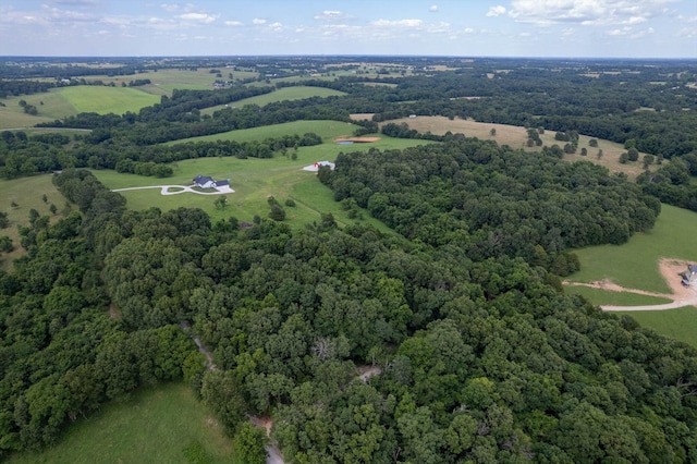 1074 Gideon Cave Rd, Marionville, MO 65705 - photo 44