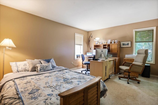 23 Sweetwater Ln, Buffalo, MO 65622 - bedroom featuring light colored carpet and a desk