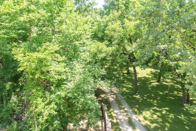 23 Sweetwater Ln, Buffalo, MO 65622 - view of woods