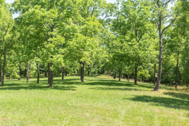 23 Sweetwater Ln, Buffalo, MO 65622 - view of grassy yard