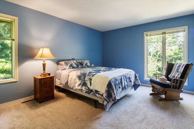 23 Sweetwater Ln, Buffalo, MO 65622 - carpeted bedroom featuring baseboards