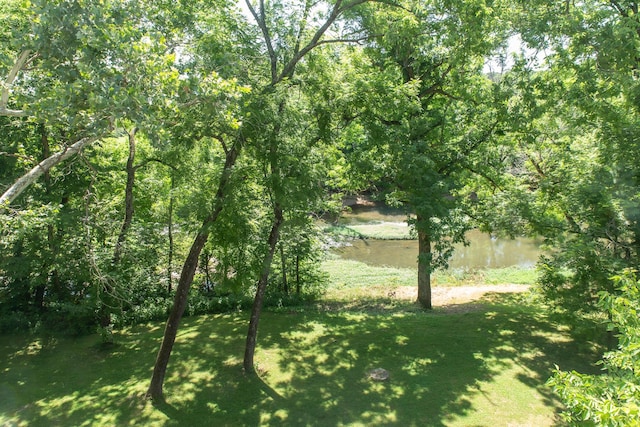 23 Sweetwater Ln, Buffalo, MO 65622 - view of green lawn