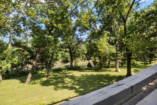23 Sweetwater Ln, Buffalo, MO 65622 - view of green lawn featuring view of wooded area