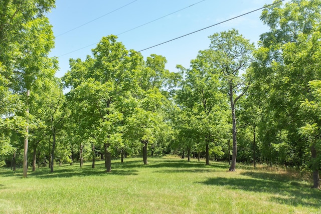 23 Sweetwater Ln, Buffalo, MO 65622 - view of grassy yard