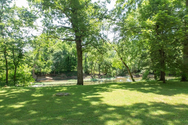 23 Sweetwater Ln, Buffalo, MO 65622 - view of green lawn