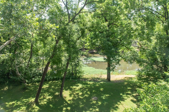 23 Sweetwater Ln, Buffalo, MO 65622 - view of grassy yard
