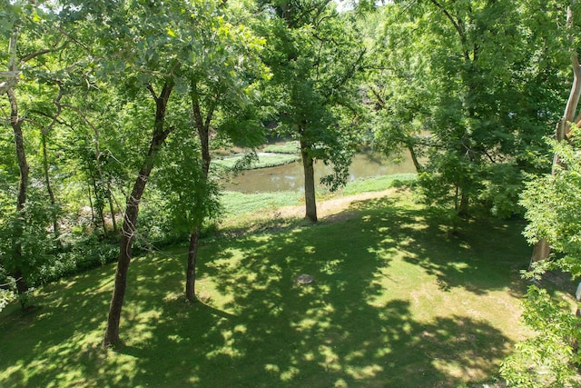 23 Sweetwater Ln, Buffalo, MO 65622 - view of grassy yard