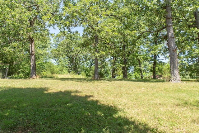 23 Sweetwater Ln, Buffalo, MO 65622 - view of grassy yard