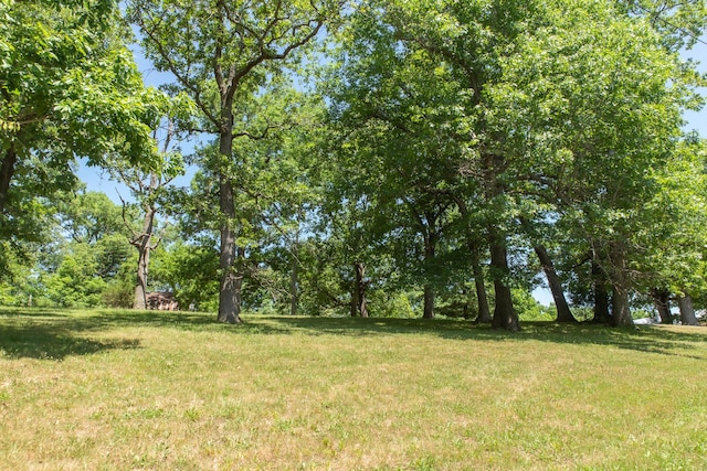 23 Sweetwater Ln, Buffalo, MO 65622 - view of green lawn