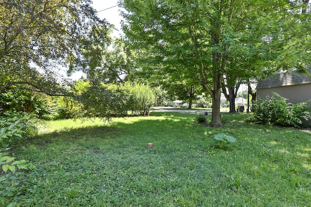 827 S Griffith Ave, Aurora, MO 65605 - photo 24