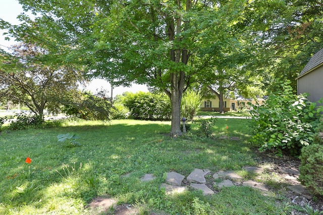 827 S Griffith Ave, Aurora, MO 65605 - photo 21