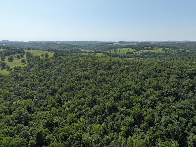 000 County Road 630 Section C, Unit Section C, Gainesville, MO 65655 - photo 12