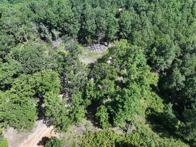 000 County Road 630 Section C, Unit Section C, Gainesville, MO 65655 - photo 5