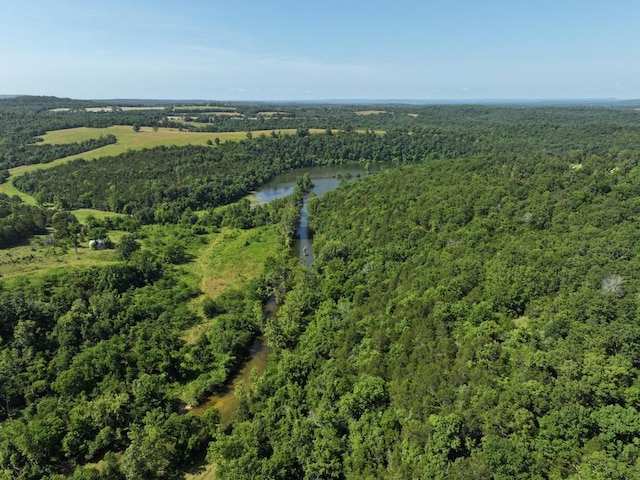 000 County Road 630 Section C, Unit Section C, Gainesville, MO 65655 - photo 6
