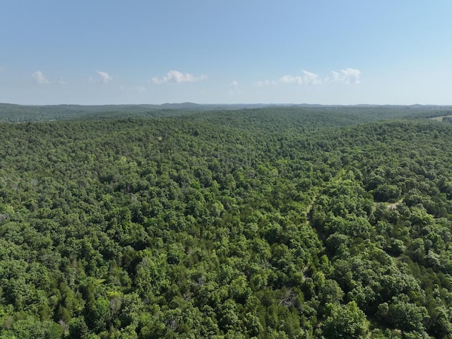 000 County Road 630 Section C, Unit Section C, Gainesville, MO 65655 - photo 29