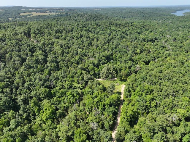 000 County Road 630 Section C, Unit Section C, Gainesville, MO 65655 - photo 13