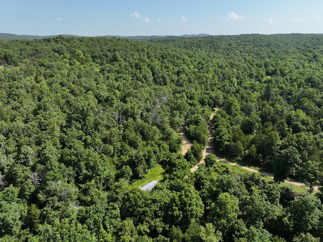 000 County Road 630 Section C, Unit Section C, Gainesville, MO 65655 - photo 16