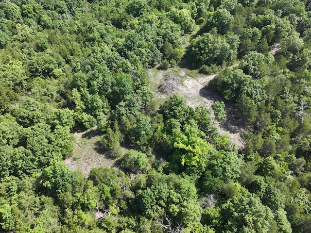 000 County Road 630 Section C, Unit Section C, Gainesville, MO 65655 - photo 18
