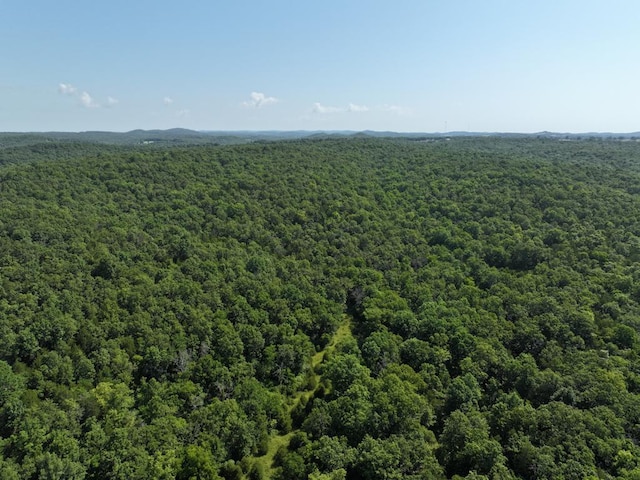 000 County Road 630 Section C, Unit Section C, Gainesville, MO 65655 - photo 11