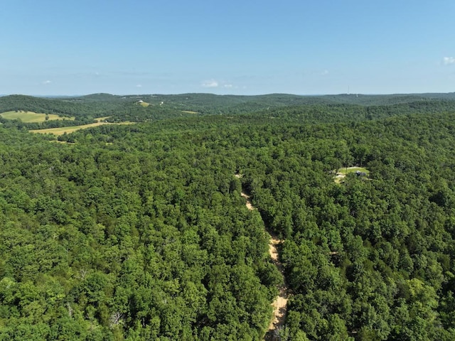 000 County Road 630 Section C, Unit Section C, Gainesville, MO 65655 - photo 10
