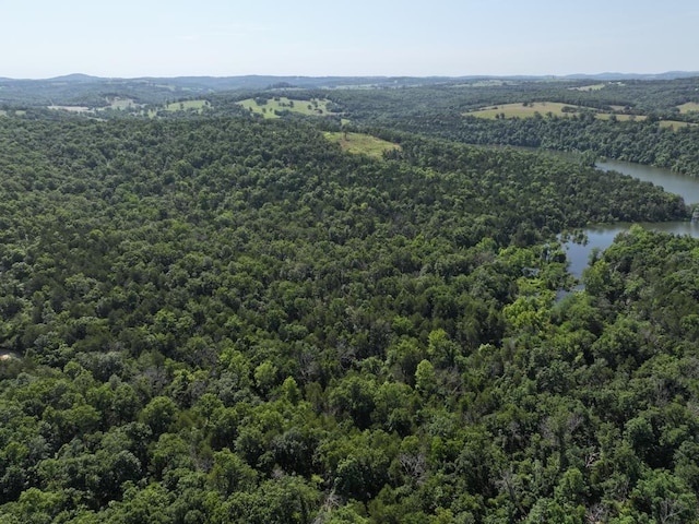 000 County Road 630 Section C, Unit Section C, Gainesville, MO 65655 - photo 26