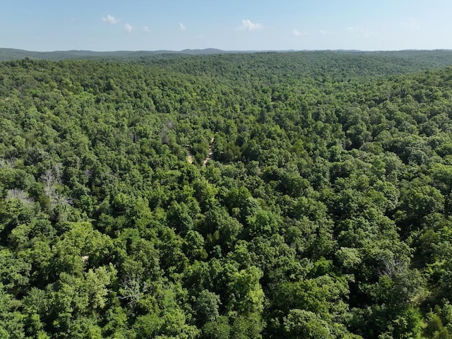 000 County Road 630 Section C, Unit Section C, Gainesville, MO 65655 - photo 17