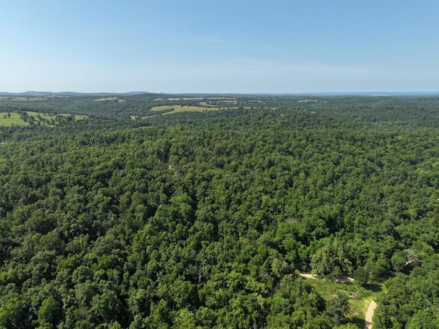 000 County Road 630 Section C, Unit Section C, Gainesville, MO 65655 - photo 14