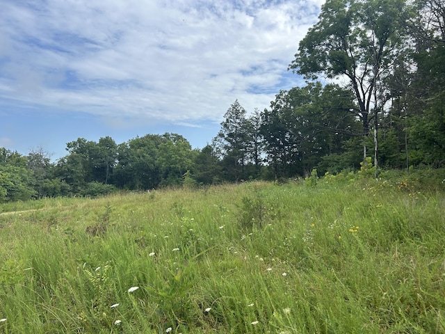000 County Road Y-521, Ava, MO 65608 - photo 1