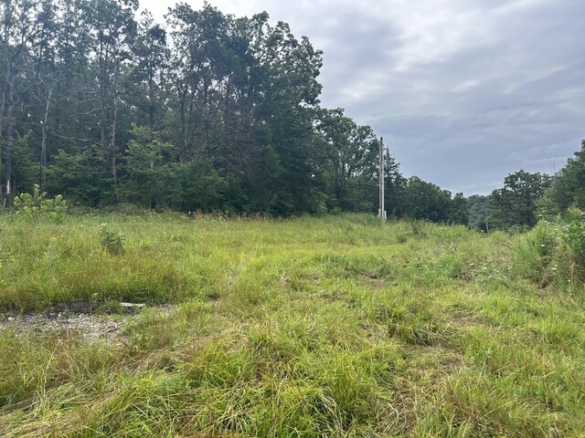 000 County Road Y-521, Ava, MO 65608 - photo 2