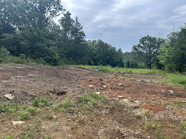 000 County Road Y-521, Ava, MO 65608 - photo 4