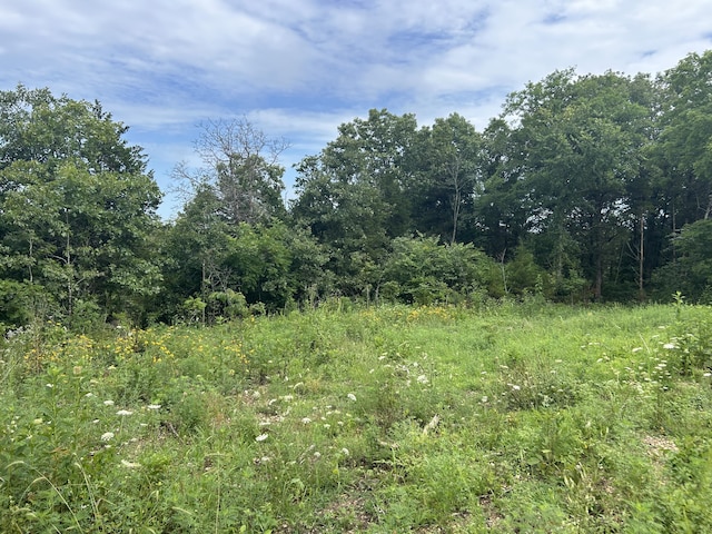 000 County Road Y-521, Ava, MO 65608 - photo 3