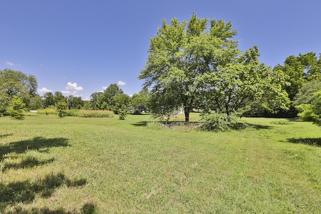 203 E Madison St, Pierce City, MO 65723 - photo 27