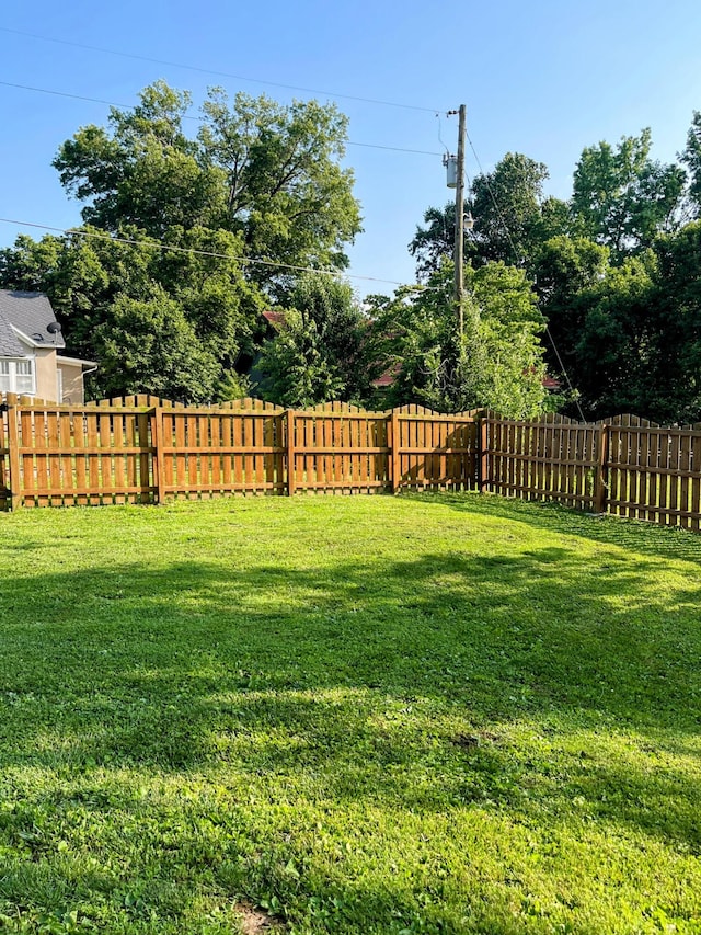 610 E Dorris Ave, Mountain Grove, MO 65711 - photo 57