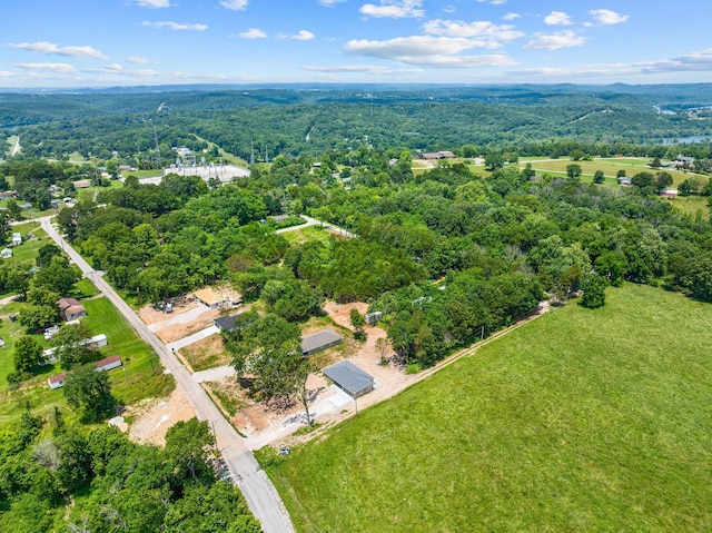 265 Mccann Rd, Powersite, MO 65731 - drone / aerial view of a forest