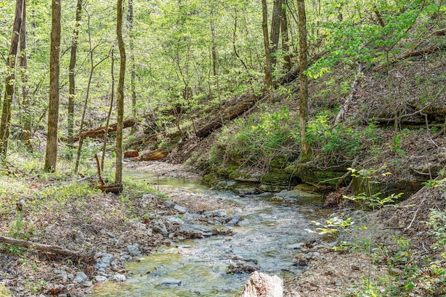 160 Old Horseshoe, Lampe, MO 65681 - photo 63