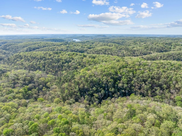 160 Old Horseshoe, Lampe, MO 65681 - photo 4