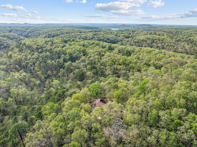 160 Old Horseshoe, Lampe, MO 65681 - photo 5