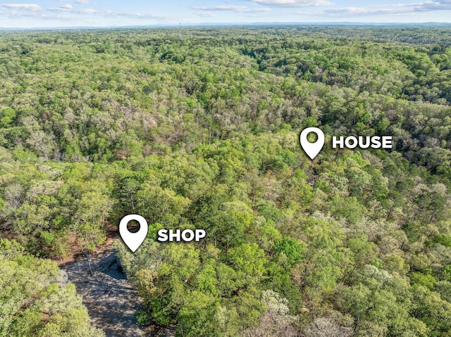160 Old Horseshoe, Lampe, MO 65681 - photo 3