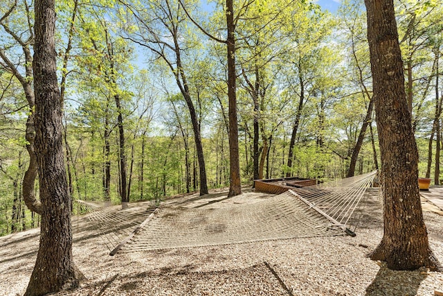 160 Old Horseshoe, Lampe, MO 65681 - photo 52