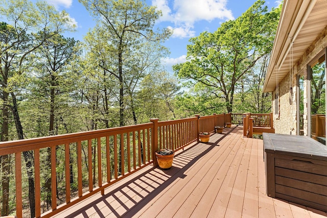 160 Old Horseshoe, Lampe, MO 65681 - photo 46