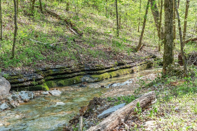 160 Old Horseshoe, Lampe, MO 65681 - photo 61