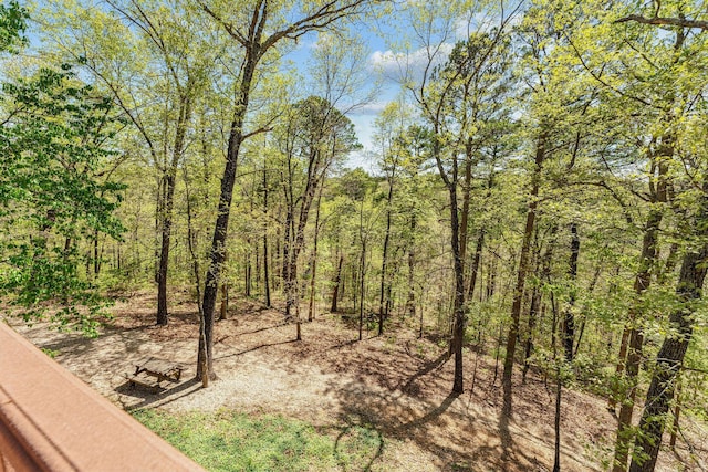 160 Old Horseshoe, Lampe, MO 65681 - photo 47