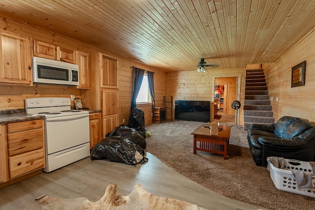 250 Aviation Ave, Ozark, MO 65721 - photo 68