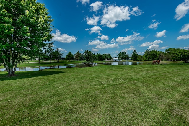 250 Aviation Ave, Ozark, MO 65721 - photo 84