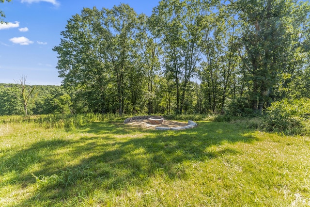 368 Regal Heights Ln, Galena, MO 65656 - photo 39