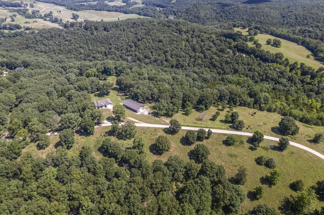 368 Regal Heights Ln, Galena, MO 65656 - photo 47